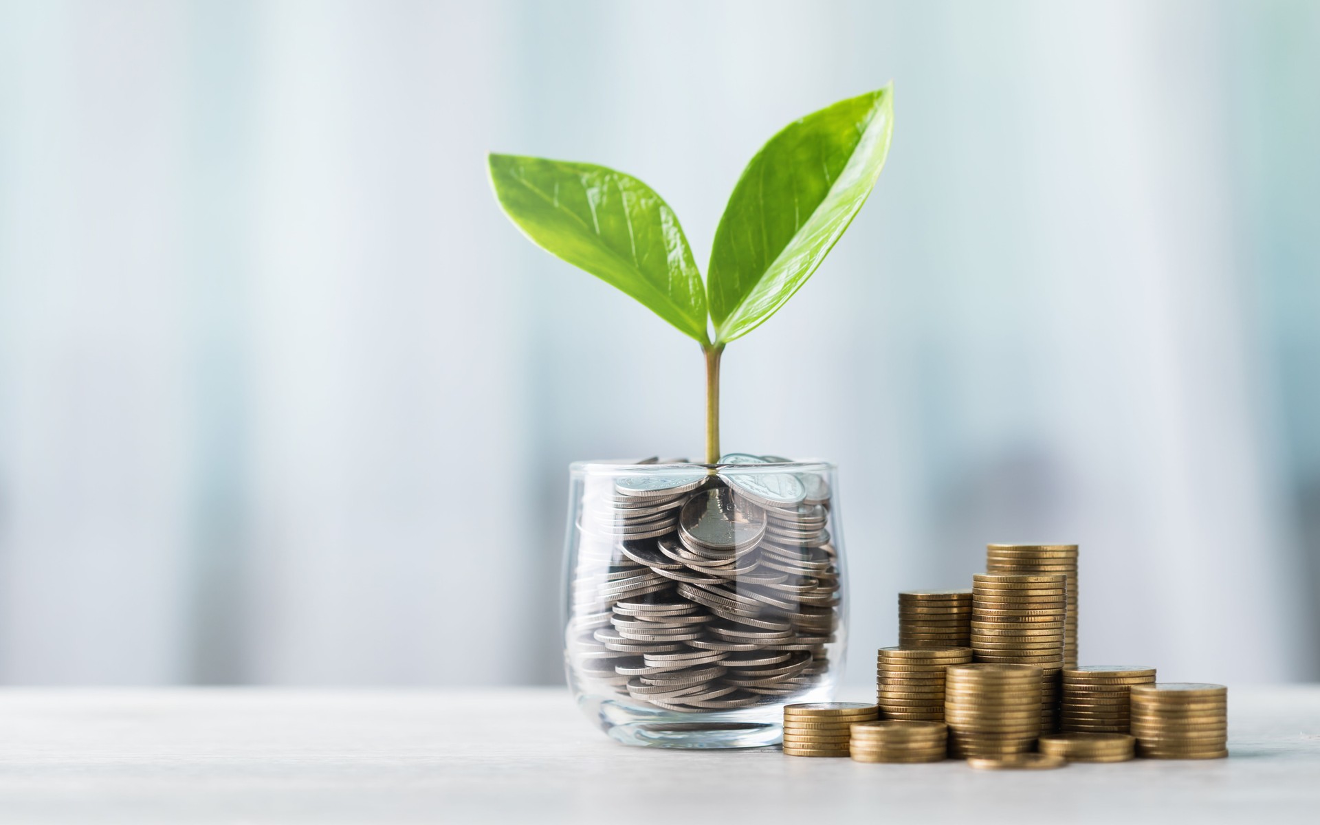 Turn Reviews Into Revenue